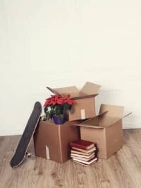 student removals